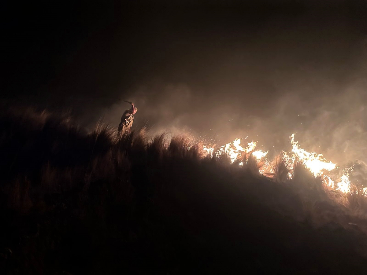 Incendios y cambio de uso del suelo: qué pasa después del fuego